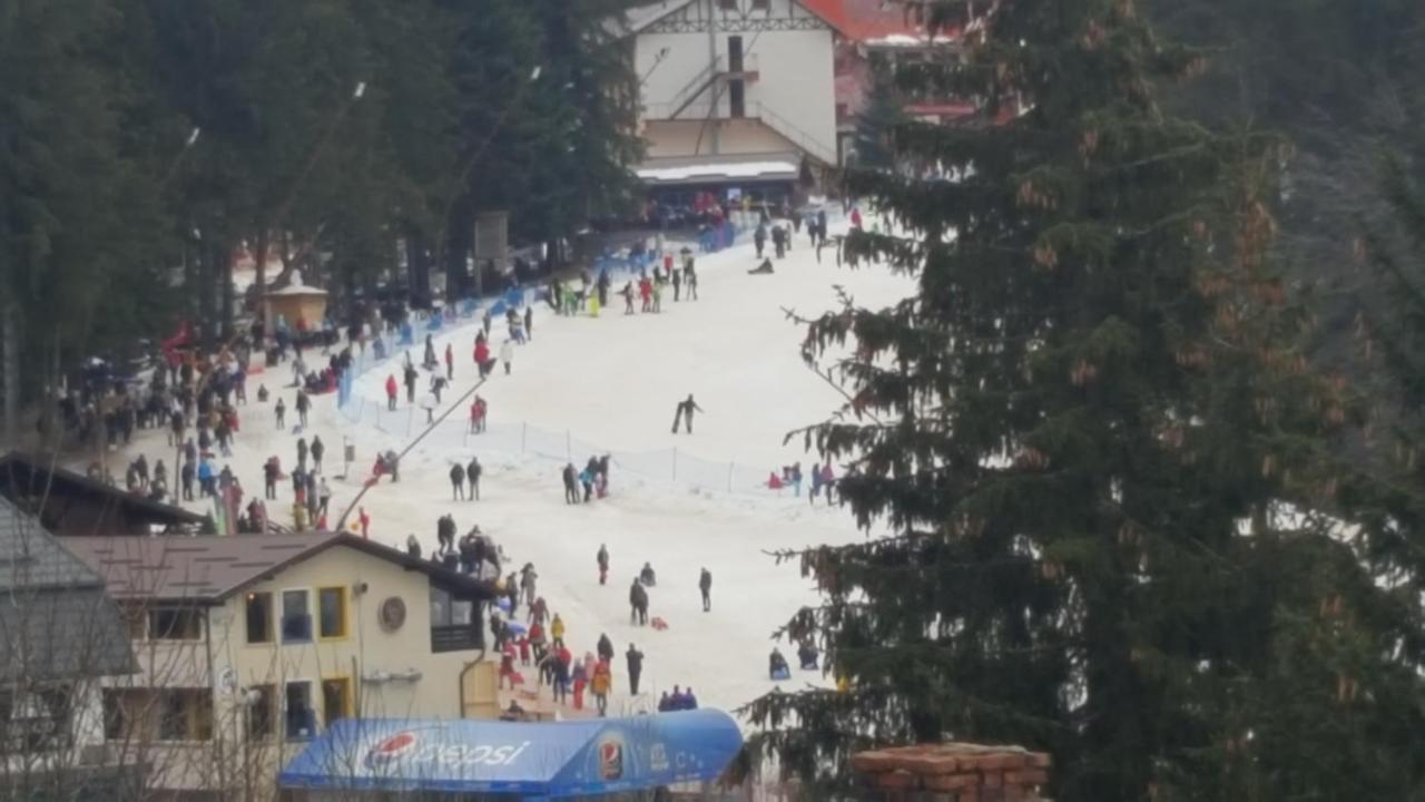 Treasure Mountain Predeal Zewnętrze zdjęcie