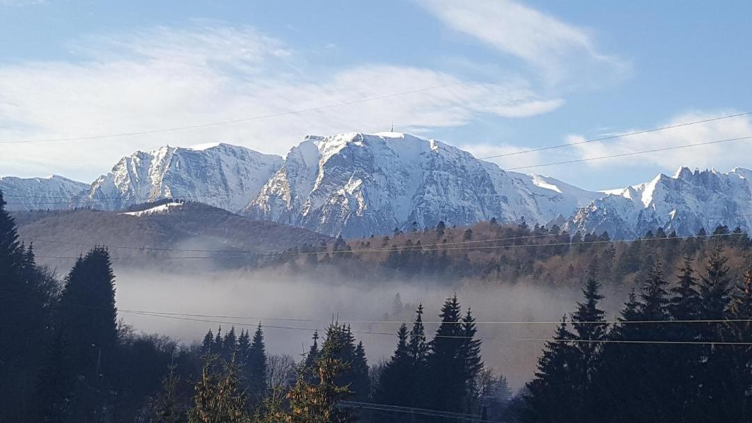Treasure Mountain Predeal Zewnętrze zdjęcie