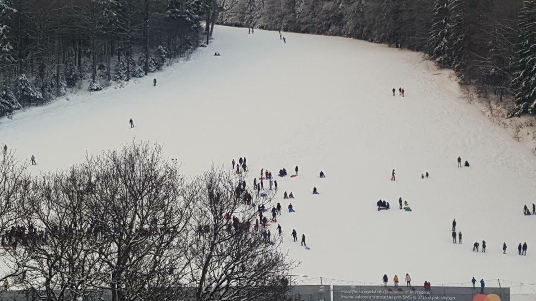Treasure Mountain Predeal Zewnętrze zdjęcie